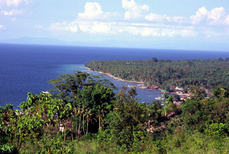 Ambon-view